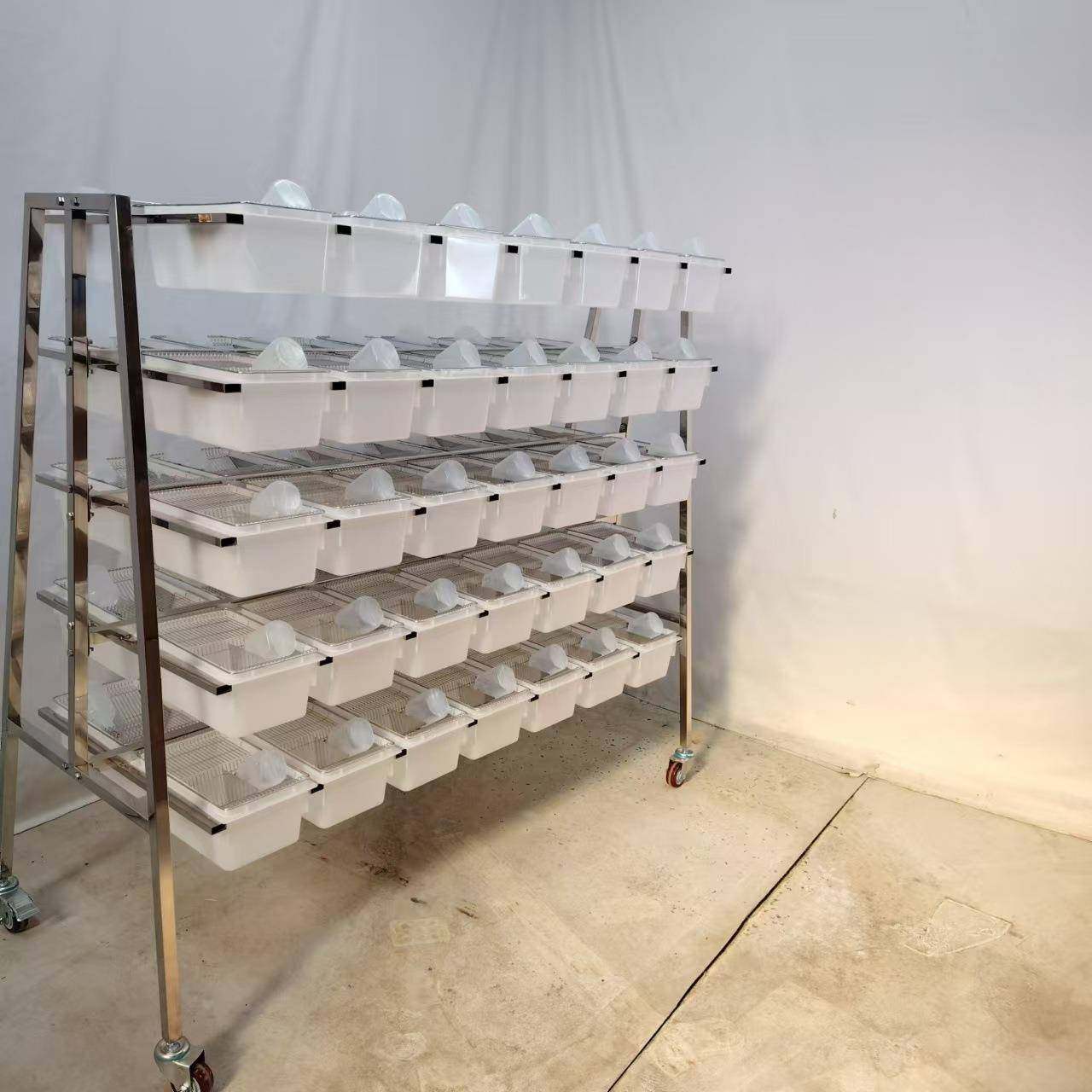 笼不锈实验鼠笼架含70个盒双多面挂式钢CP3实验室小鼠笼架VSE种款,工业油品/胶粘/化学/实验室用品,其他实验室设备,淘宝优惠券,粉丝福利购,淘宝优惠卷