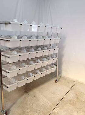 笼不锈实验鼠笼架含70个盒双多面挂式钢CP3实验室小鼠笼架VSE种款