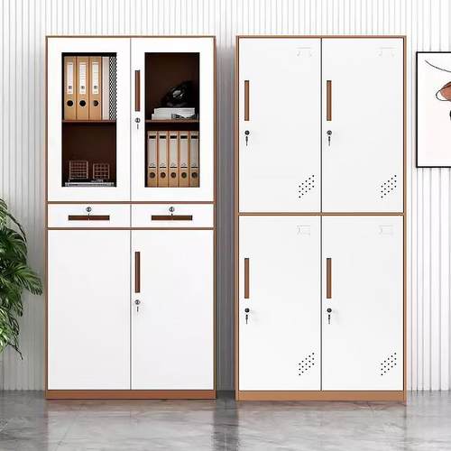 拆套色件柜窄装边文钢制铁皮柜办公室资料案柜带锁储HS-92物档柜