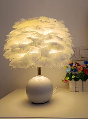 创羽意陶瓷圆球毛色台灯白色粉色灰彩色鹅灯简ZWO约卧室装饰氛围