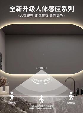 摸智能浴室镜椭圆卫生间妆洗手AWI间led镜带灯触屏除雾化镜子壁挂