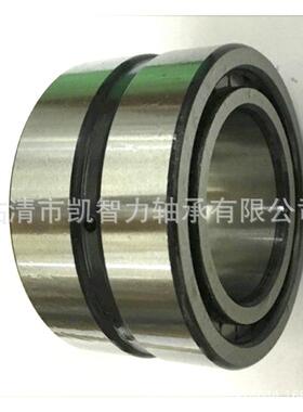 厂销SL045020PPNNF50BFE22L0450S24L045026双列满装圆柱滚子轴S承