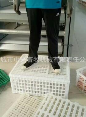 山东方兴现塑料成鸡周转筐货纯原料形NDH运鸡筐塑料中大鸡筐尺寸