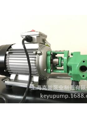 手提式小型油齿轮WCB-75微型BOR输油泵自吸便携油料泵式运输泵便