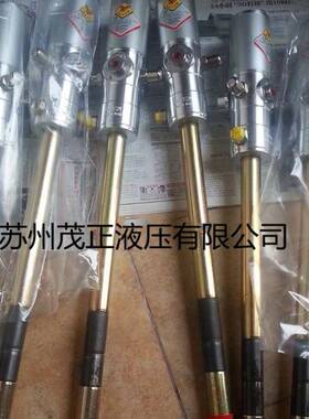 意大动利飞泵鹰RAASM气动黄油63074气SKW泵用于磨煤机用于电厂矿