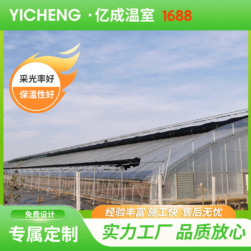 双拱插地温室大棚通风好