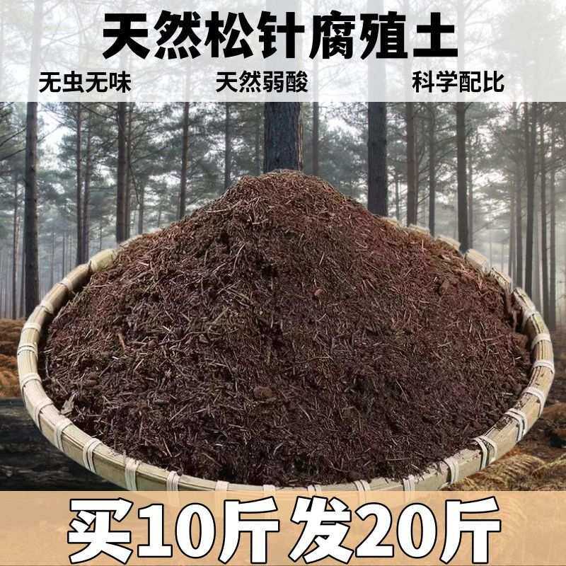 松针腐殖土酸性有机土通用透气兰花君子兰茶花阳台专用土厂家直销