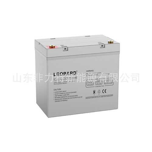 LEOPARD美洲豹蓄电池HTS12-38 12V38AH UPS EPS直流屏不间断电源