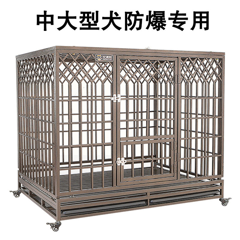 艾道格狗笼子中大型犬金毛折