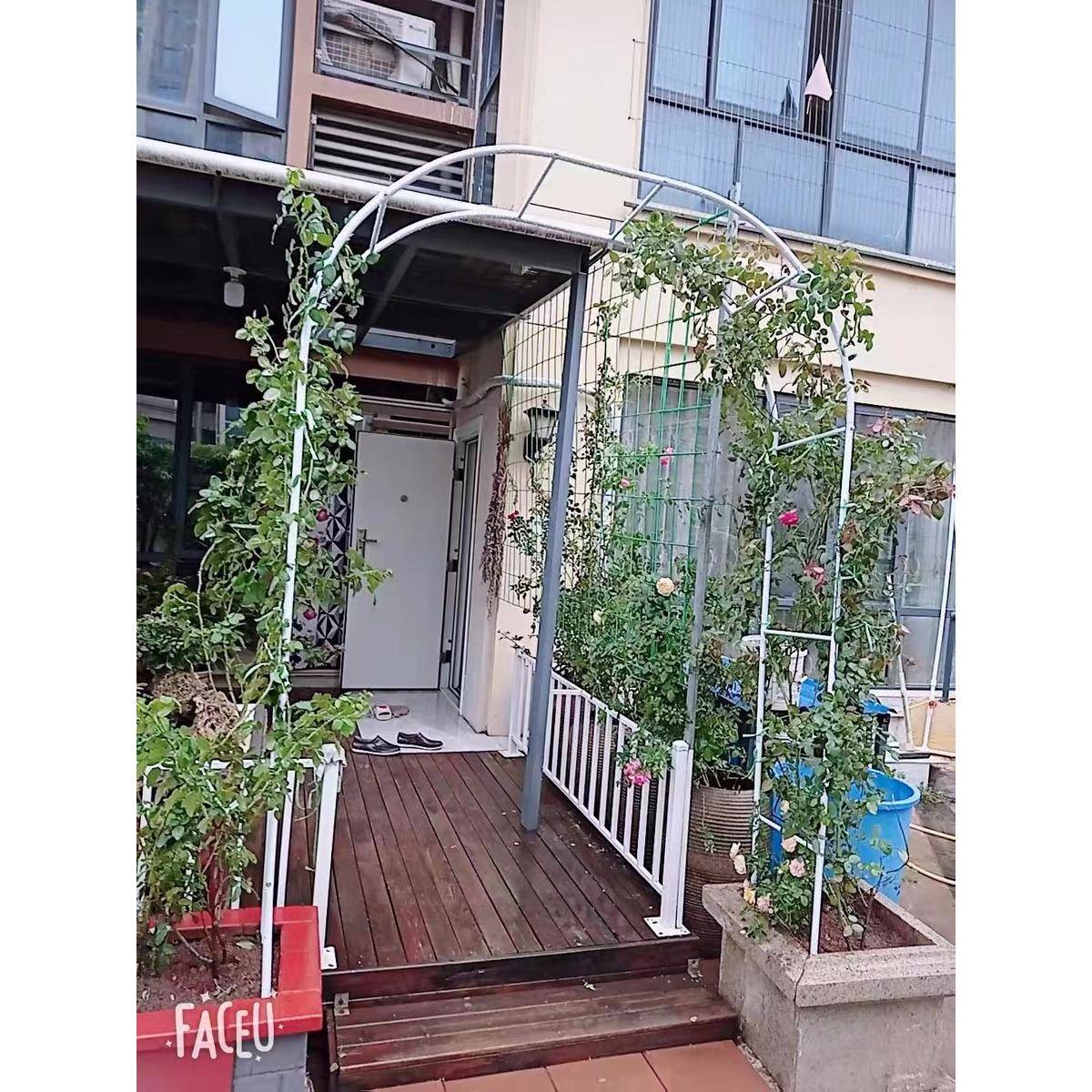 庭zf616235院藤架植物攀爬爬丝瓜架户搭外葡萄架铁艺拱门花架室内