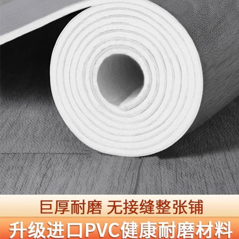 加厚地铺毯客厅卧室家用地垫耐磨30平房间铺地板垫防水垫地大面积