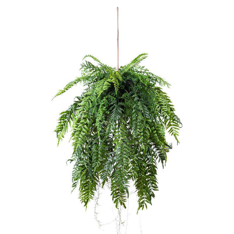 森系垂吊波斯蕨仿真植物草球吊挂盆绿植家居商铺橱窗造景吊顶装饰