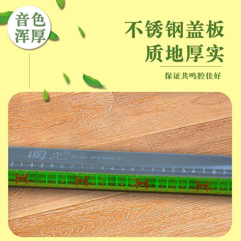 上海国光牌口琴24孔C调复音重音回声儿童学生成人乐器初学