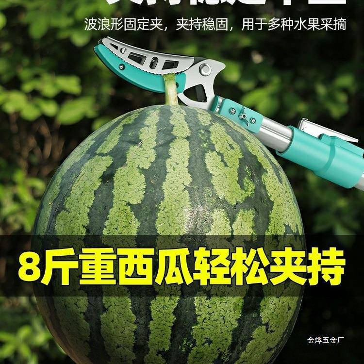 摘枇杷采摘水果荔枝杨梅龙眼摘果伸缩杆高空剪树枝高枝剪金烨