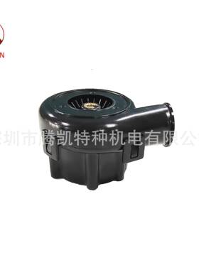 40*28mm便携式鼓风机BA4028H12B小尺寸大功率12V24V可选