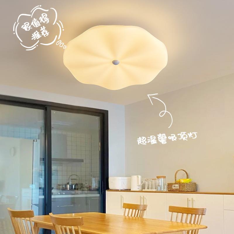 大F园卧室灯吸顶灯简现观代412172025年新款主卧灯女约孩儿童房间