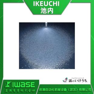 嘴微雾喷头 WSHTZ303池内IKEUCHI精密扇形喷 4MV6VP65073S1LIN