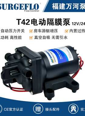 12v水泵3GPM小型农业灌溉水泵24v往复泵电动隔膜泵游艇餐车供水泵