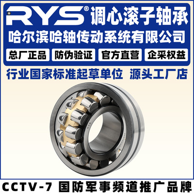 RYS 哈轴传动 21314 21315 21316 21317 21318  CC CA /W33