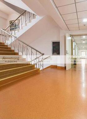 阿姆壮KNV翠丽龙系列耐磨加厚密实斯底VC塑胶防滑地板地P板革