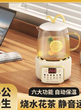 AFO小型养生巧壶办室煮壶迷你全自动煮茶公器茶多功能小mini一人