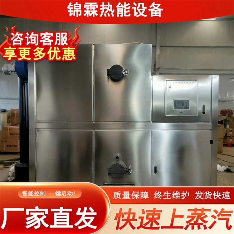 生物质颗粒导热油模温机30万大卡木柴导热油炉商用工业燃烧机热能