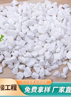 雪花白小石南SYR京鹅卵石子白色砾石园石林子铺路鹅卵石碎石