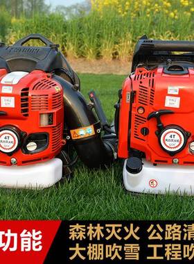 四林冲程园背负式道汽油吹风机街路面落叶吹尘机大大马力棚吹QII