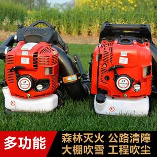 四林冲程园背负式道汽油吹风机街路面落叶吹尘机大大马力棚吹QII