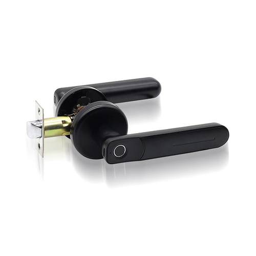 自球锁执手130B锁家用指房门智能锁全动智能智纹锁出租民宿旅店能