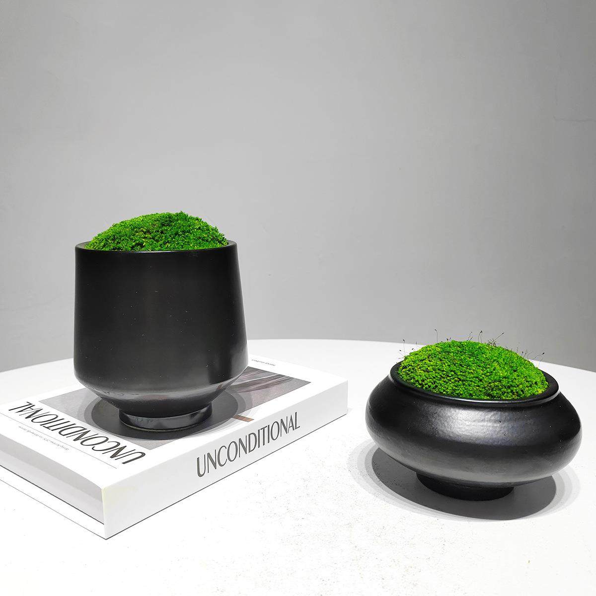 新中式苔藓绿电1203植摆件样房茶软装饰品玄关视柜茶室几博板古架,鲜花速递/花卉仿真/绿植园艺,仿真绿植,淘宝优惠券,粉丝福利购,淘宝优惠卷