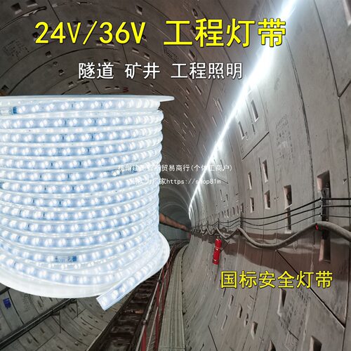 36V/24V低压防雨国标LED灯带