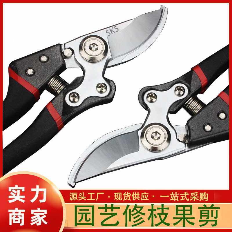 修枝剪园艺剪刀不锈钢树枝专用剪刀园林修新款果树修枝花艺修花,五金/工具,园艺剪,淘宝优惠券,粉丝福利购,淘宝优惠卷