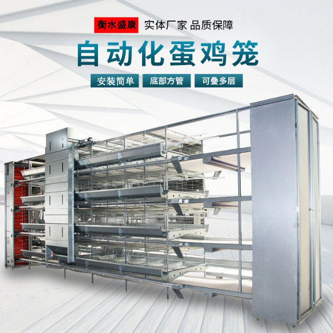 鸡笼蛋鸡笼养殖机械设备阶梯式养殖场厂大层叠蛋鸡鸡用雏鸡