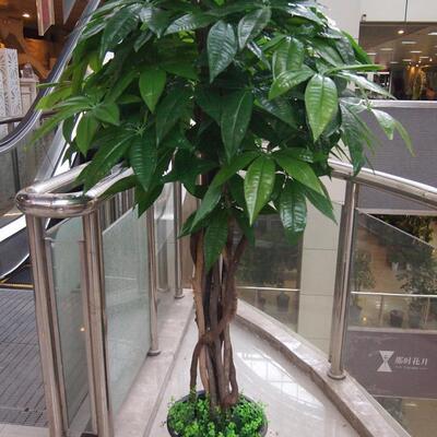 特价真杆发盆14587财树仿办真假植物人造装树橱窗展台布景饰公室