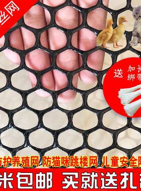 【阳台防护】黑色家用防护网格养鸡塑料网养殖鸡鸭脚垫农场育雏网