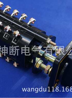 【 】LW2D-Z1A.4.6A.40.4/F8【温州长江开关厂】转换开关