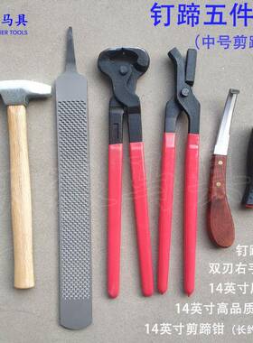 修蹄钉掌五件套 剪蹄钳马蹄锉修蹄刀压钉钳 修蹄工具天狼马具