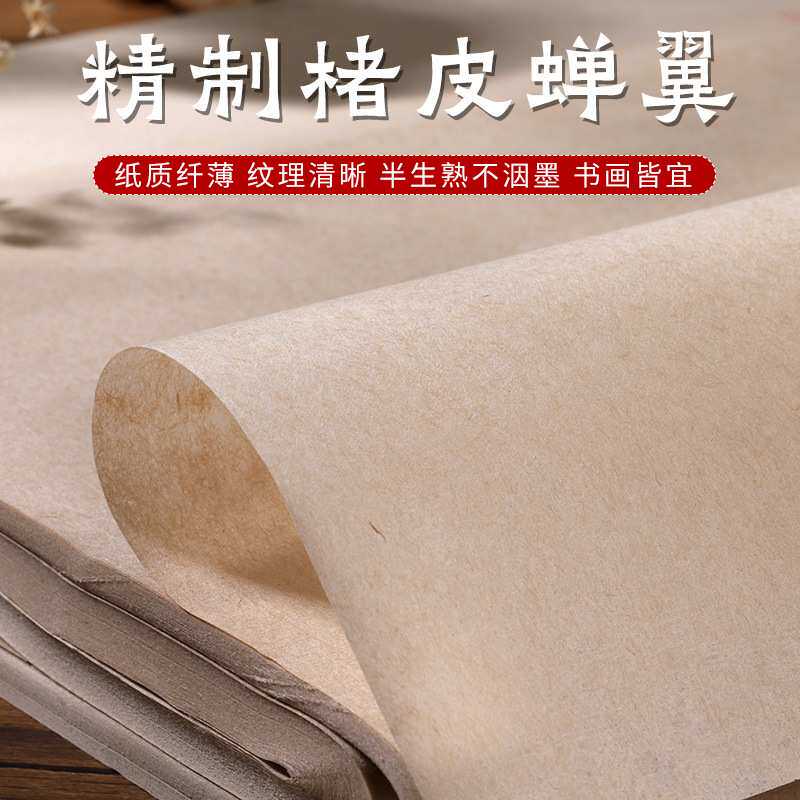 精制 楮皮蝉翼纸半生半熟宣纸作品用手工纸小楷书法国画创作宣纸