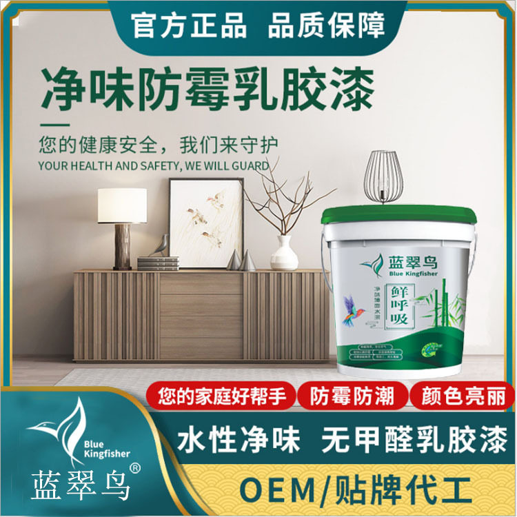 蓝翠鸟净味防霉涂料内墙漆家用乳胶漆 艺术净味内外墙面漆修补漆
