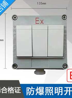 SWB-10A/III三开防爆照明开关BQM-10IIIS防爆墙壁开关ExdeIICT6