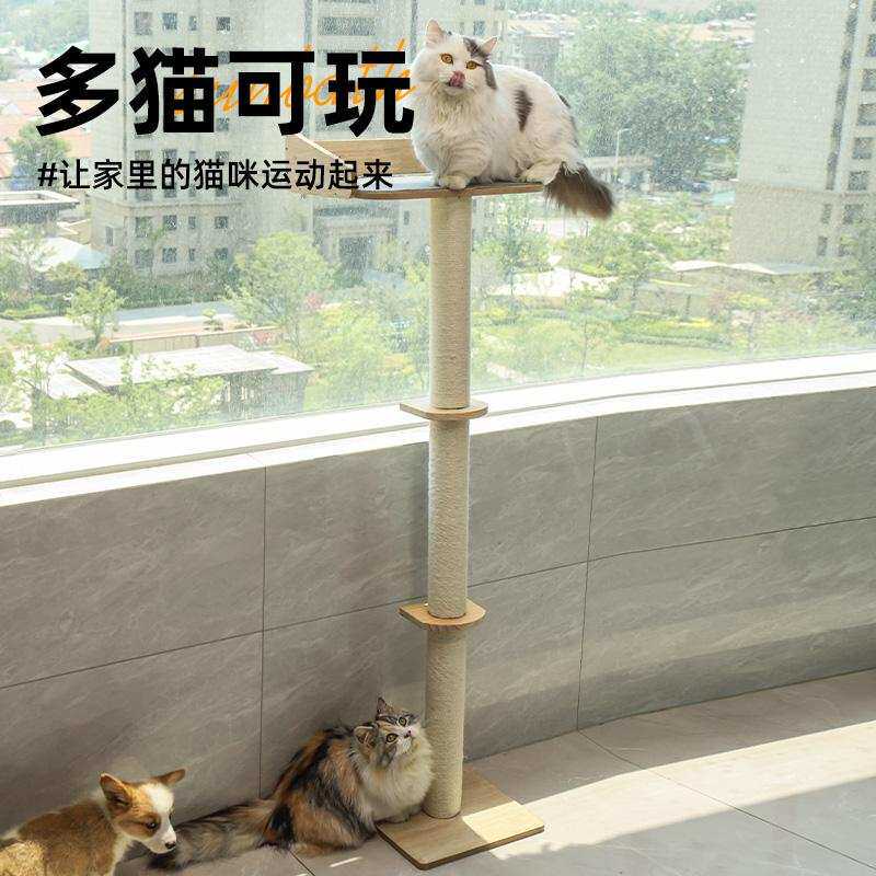 猫爬架剑麻猫抓板猫窝猫树一体靠墙壁式不占地小猫跳台实木通天柱