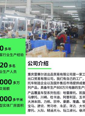 摩托车点火器配件GT250RNakeGT250RdV2S-250T250R0G3-7GV250C0DI