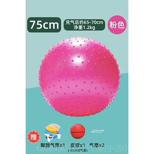 高档颗球粒按摩大笼练儿童感统练器材玩具大球家用训婴儿康覆训大