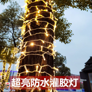 LED超亮高防水加粗加大闪灯串灯满天星灌胶装饰街道绕树亮化灯串