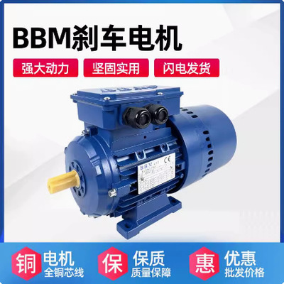 意大利BBM刹车电机7.5KW