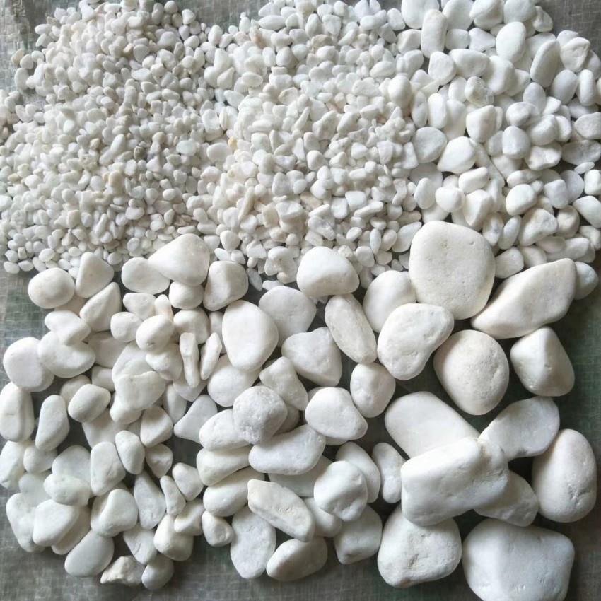 园林景观用白鹅卵石 机制鹅卵石 多肉用白石子 石米 彩石