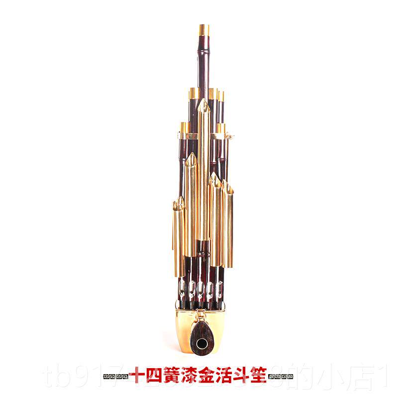 新款新艺41簧1扩音笙乐器大全圆笙方笙修笙工具竽乐器笙包簧初学7