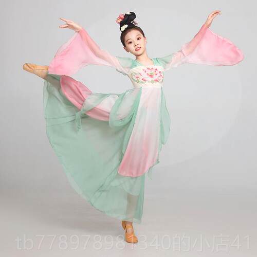 高档儿中国舞蹈飘逸服齐胸唐纱衣女童童古典舞扇子舞演出服装大汉
