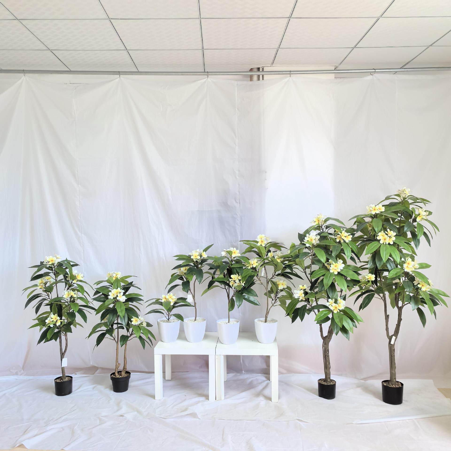 仿真鸡蛋花手感胶布鸡蛋叶绿色假树叶园林室内外造景装饰鸡蛋花树